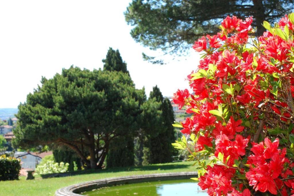 Villa Rossini Tavernerio Eksteriør billede